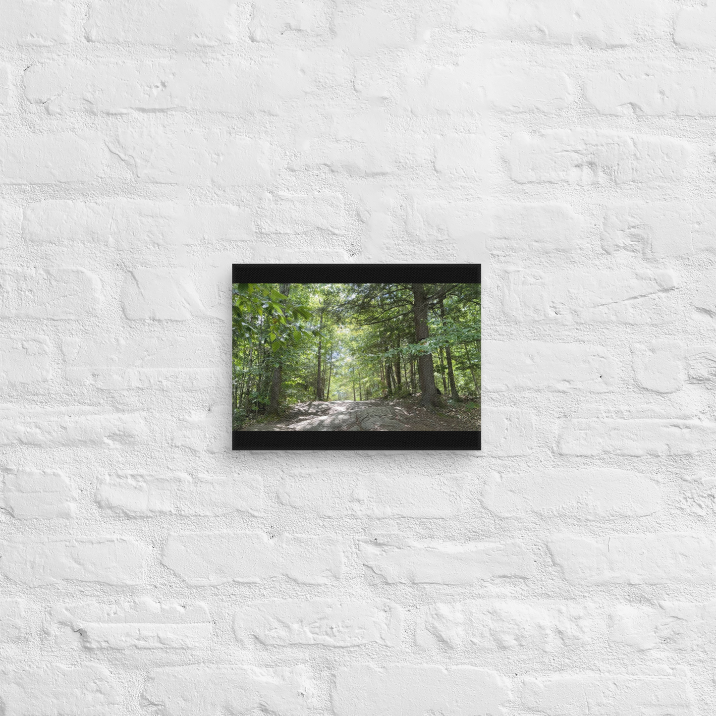 Canvas print of a forest scene on a textured white wall.