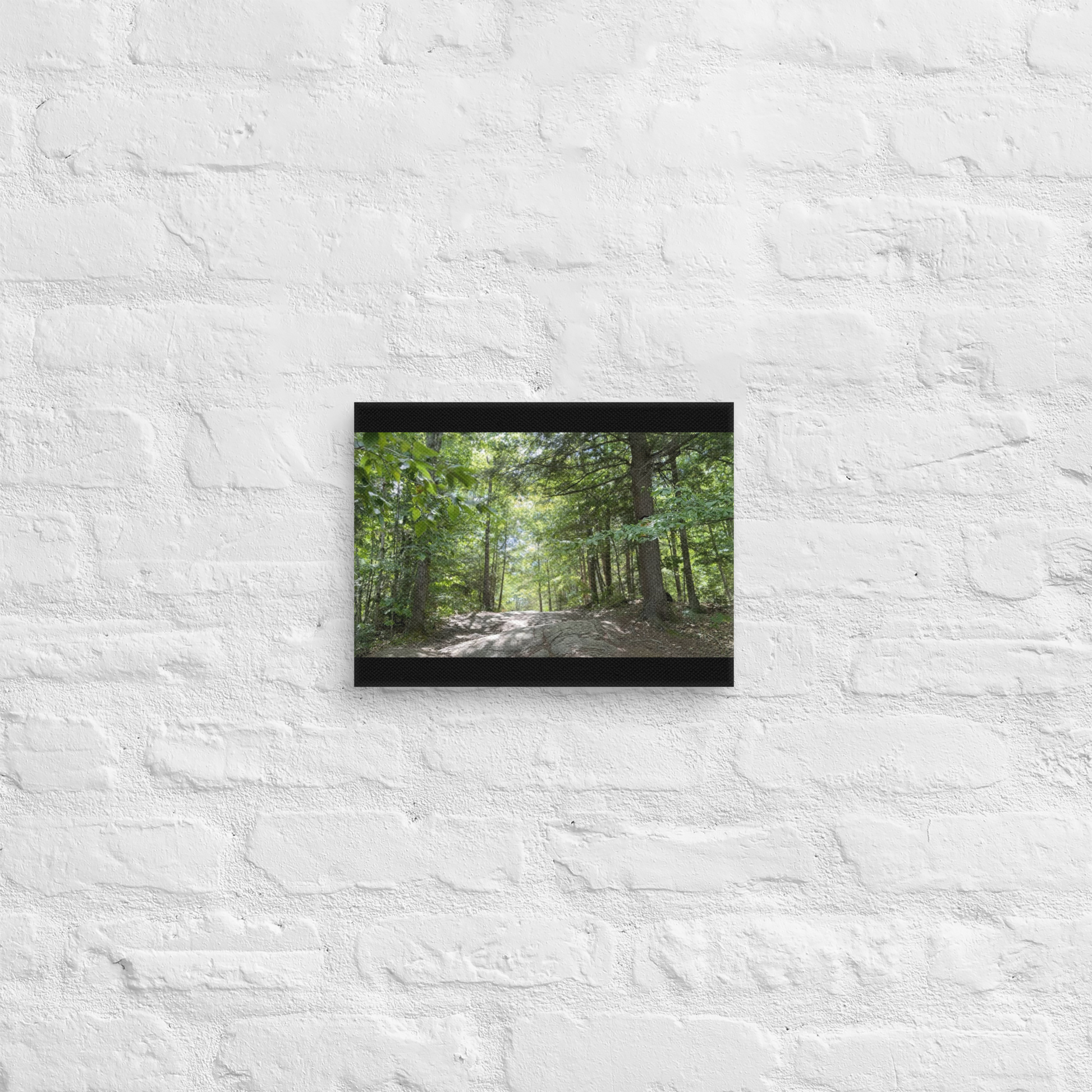 Canvas print of a forest scene on a textured white wall.